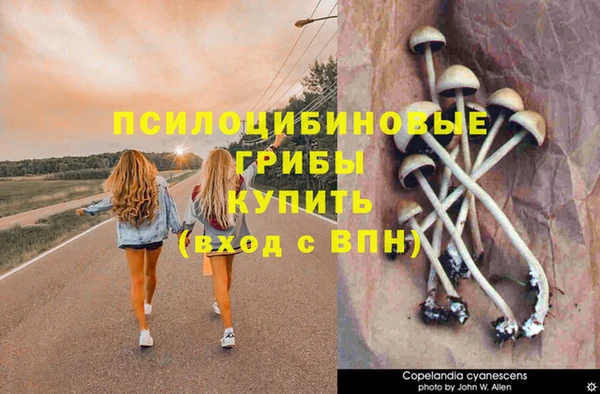 MDMA Premium VHQ Балахна