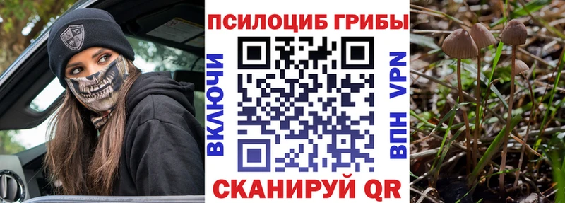 купить  цена  Юхнов  Галлюциногенные грибы Psilocybe 